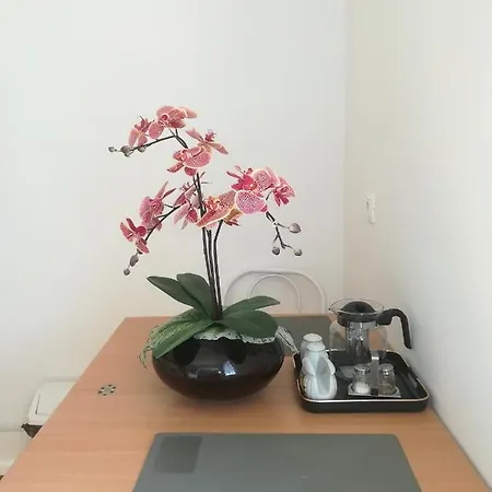 Borisz Apart-hotel Zalakaros