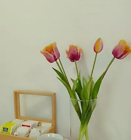 Apart-hotel Borisz 4*