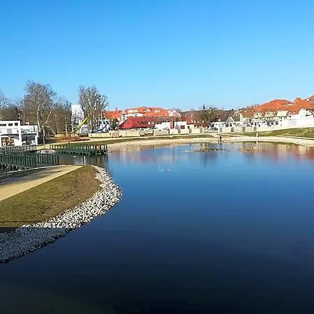 Borisz 4*