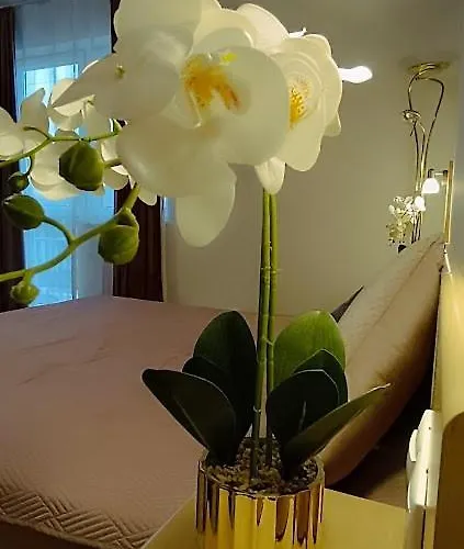 Borisz Hotel apartamentowy Zalakaros